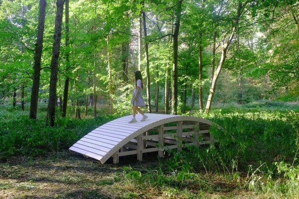 olivier_vadrot_kibashi_02