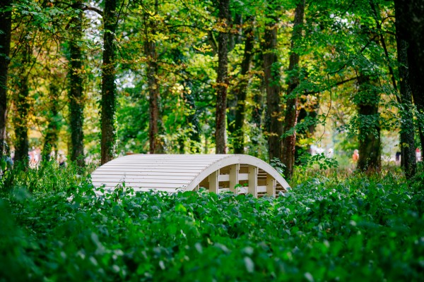 olivier_vadrot_kibashi_03