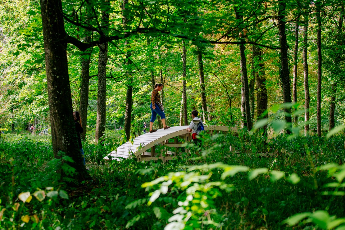 olivier_vadrot_kibashi_04