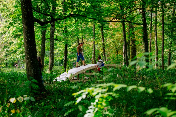 olivier_vadrot_kibashi_04