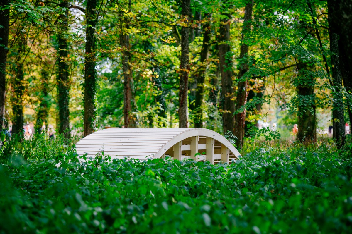 olivier_vadrot_kibashi_03