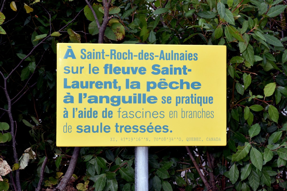 ov_boudeuse_etoile_02