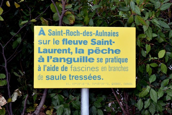 ov_boudeuse_etoile_02