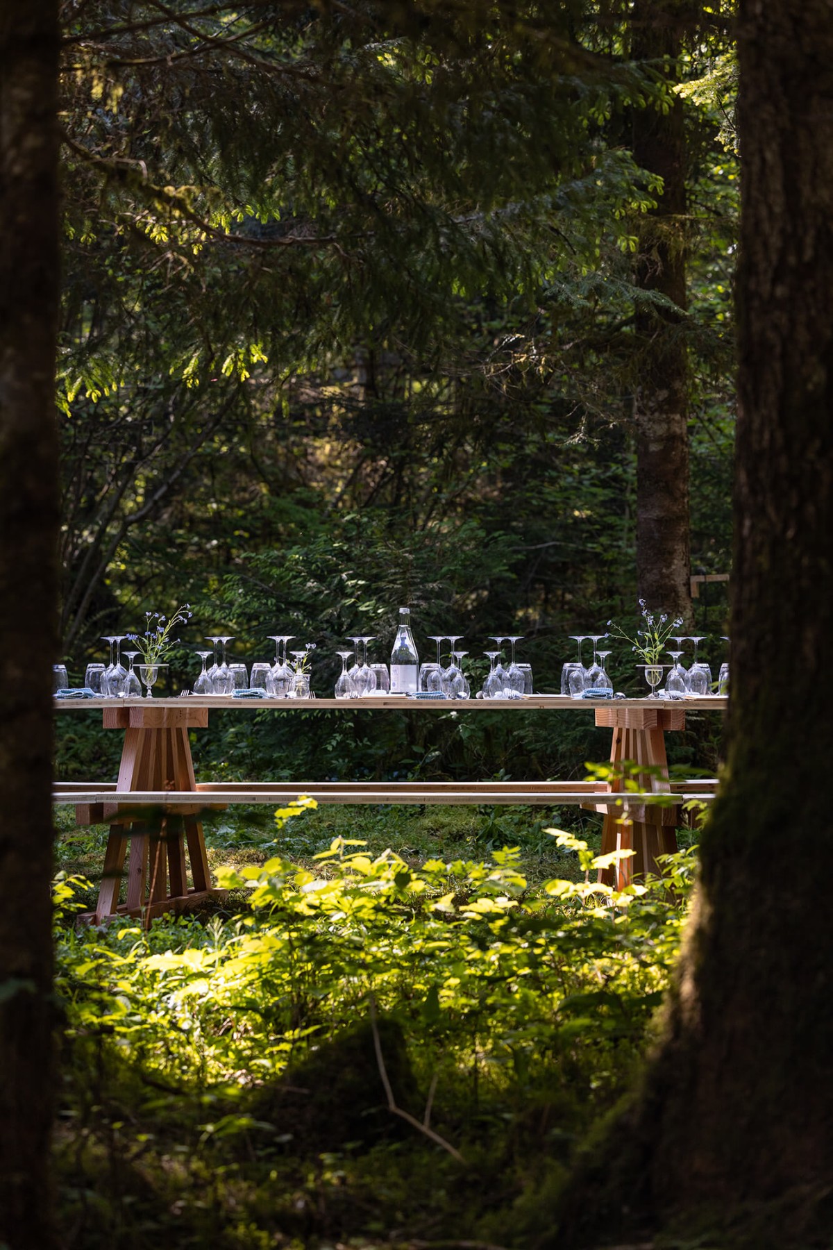 olivier-vadrot-le-temps-du-comte_03