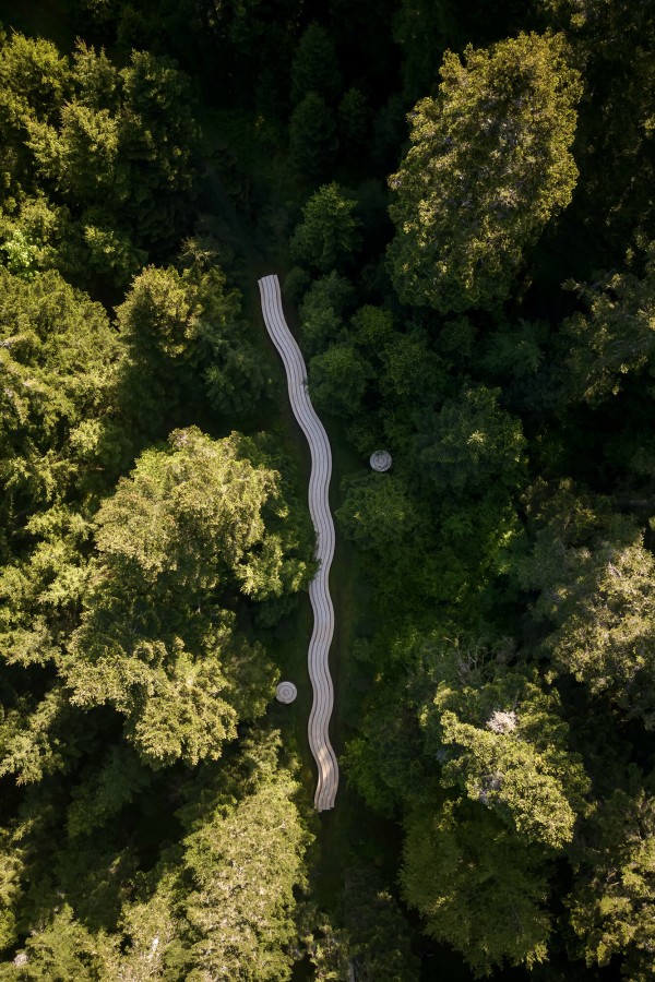 olivier-vadrot-le-temps-du-comte_04