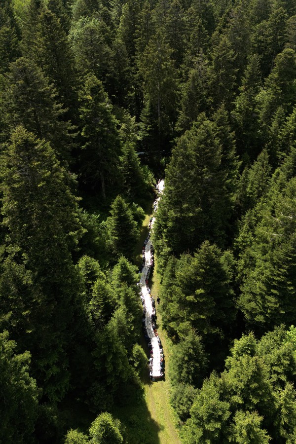 olivier-vadrot-le-temps-du-comte_05