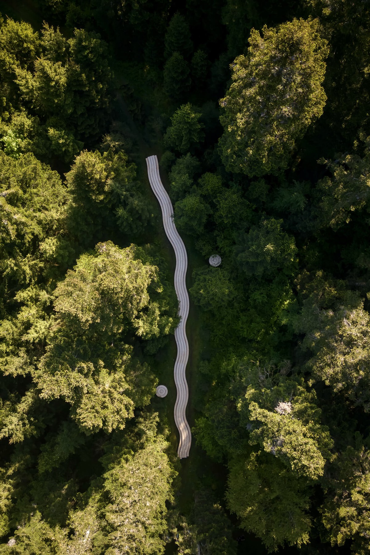 olivier-vadrot-le-temps-du-comte_04