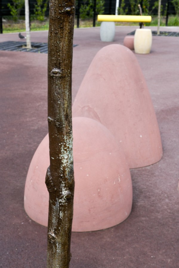 olivier_vadrot_les_fossiles_09