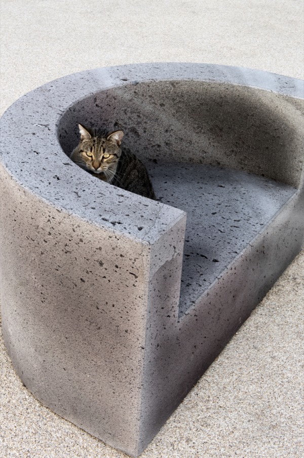 olivier_vadrot_orchestre_03